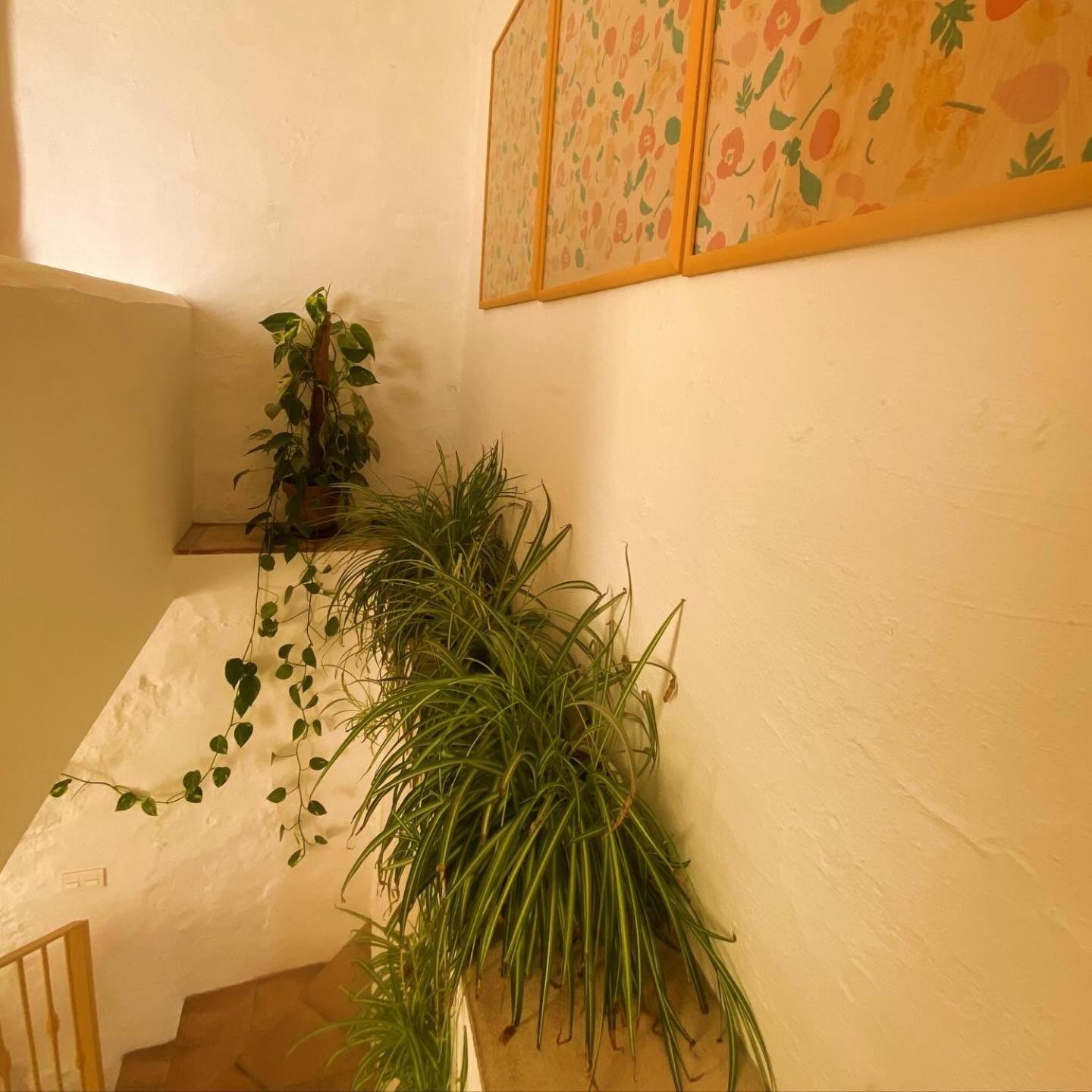 Apartamento Romantic Garden